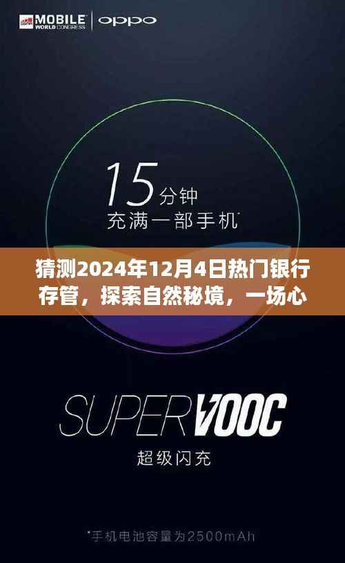 未来银行存管趋势与心灵探索之旅,探寻自然秘境与心灵宁静的交汇点