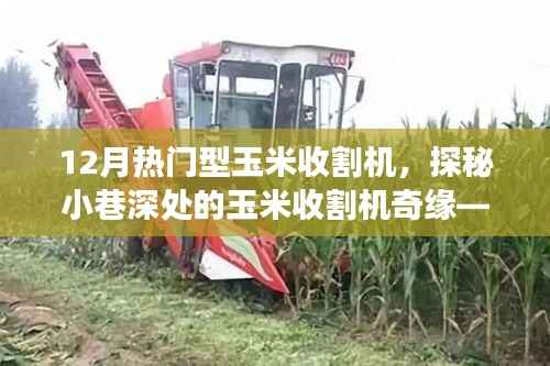 探秘热门型玉米收割机,小巷深处的奇缘与体验之旅