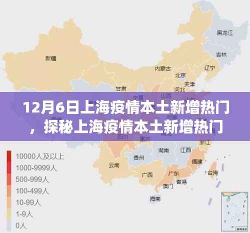 上海疫情本土新增热门探秘,巷弄深处独特小店之旅