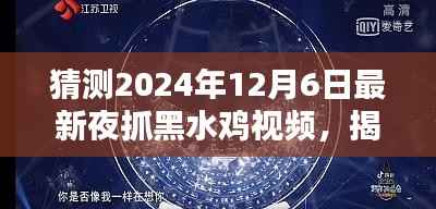 揭秘夜抓黑水鸡的精彩瞬间,探寻最新视频,预测未来事件(日期,2024年12月6日)