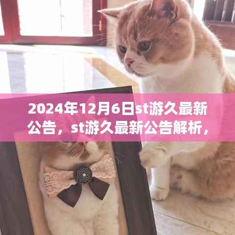 2024年12月6日ST游久最新公告深度解析,多方观点聚焦与考量