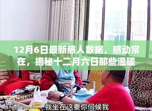 揭秘暖心数字背后的故事,感动常在,十二月六日的感人数据回顾
