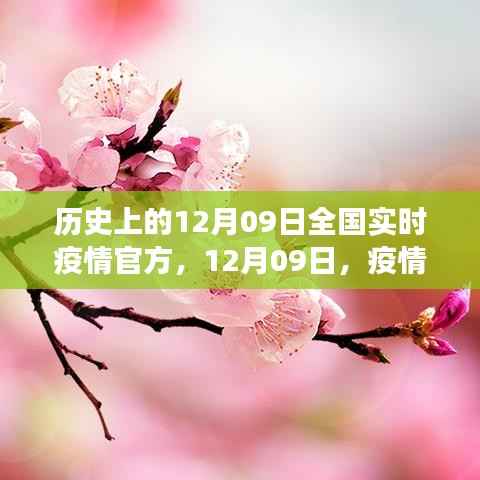 疫情之下的心灵自然之旅，全国实时疫情官方通报与历史回顾，12月09日当日纪事