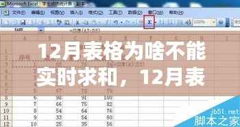 探究12月表格无法实时求和的背后原因、影响及重要性