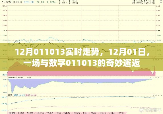 12月01日,数字011013的实时走势与奇妙邂逅揭秘
