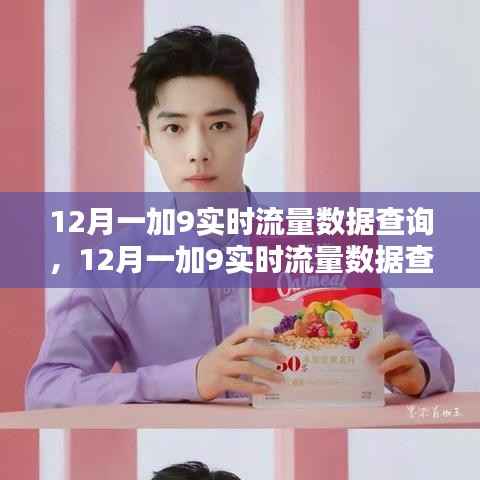 全面评测与介绍,12月一加9实时流量数据查询功能
