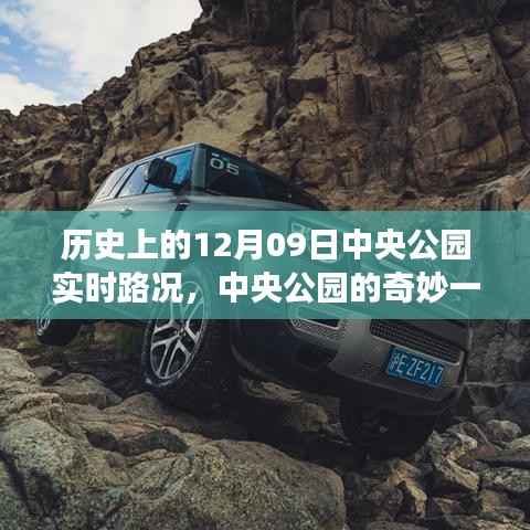 中央公园历史路况纪实,奇妙一天与温情故事回顾