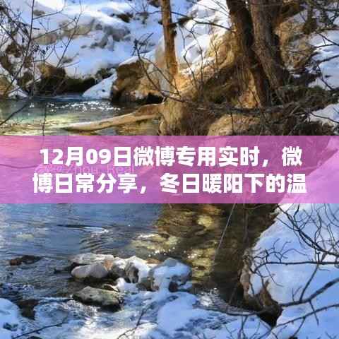 冬日暖阳下的温馨时光,微博日常分享实时播报