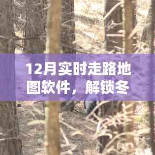 冬季探索新体验,十二月实时走路地图软件魅力解锁
