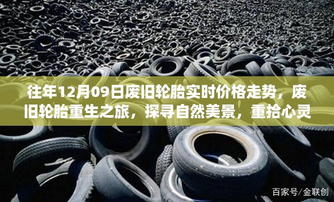 废旧轮胎重生之旅,探寻自然美景与心灵宁静,往年12月9日实时价格走势揭秘