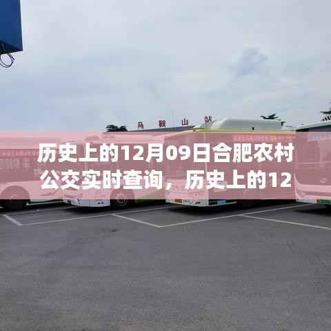 历史上的12月09日合肥农村公交发展回顾,影响与实时查询系统