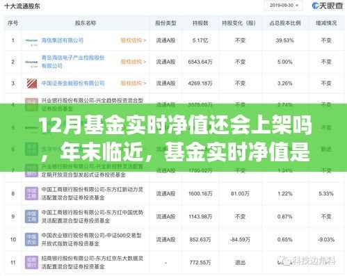 年末基金实时净值预测,十二月上架的可能性与深度解析