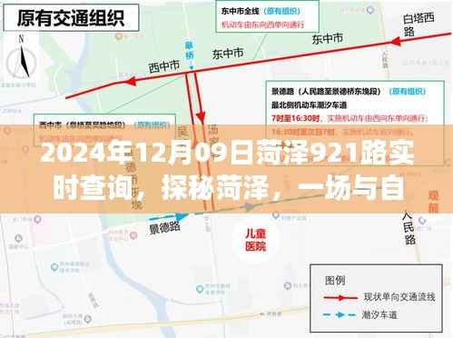 探秘菏泽自然美景，菏泽921路公交车实时查询与浪漫邂逅之旅（2024年12月09日）