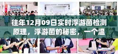 浮游菌探秘之旅,实时检测原理与日常探秘之旅