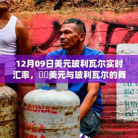 12月09日美元与玻利瓦尔汇率更新,绿色之旅寻求内心平静的时刻