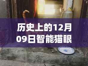 探秘智能猫眼时光馆,揭秘历史上的录像之旅与智能猫眼的实时录像功能探索