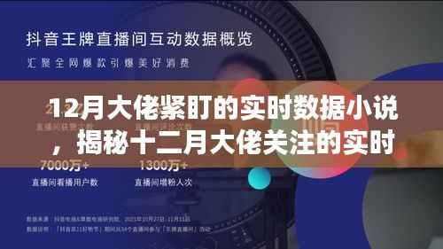 揭秘十二月大佬关注的实时数据小说,数字背后的故事深度剖析