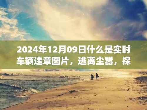 建议,实时车辆违章图片之旅,逃离尘嚣探寻美景