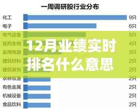 业绩之星,十二月实时排名背后的故事与温馨力量