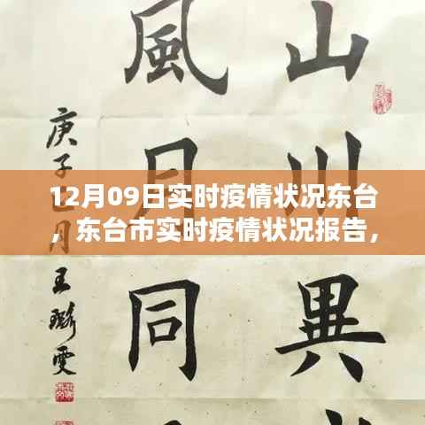 12月09日东台市实时疫情状况深度解析与报告