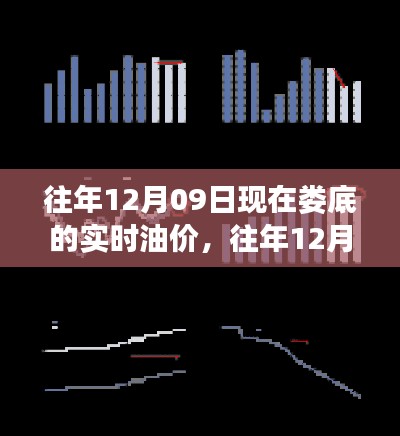 往年12月09日娄底实时油价解析,多重因素背后的油价波动