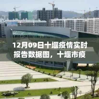 12月09日十堰市疫情实时报告数据图解析,疫情态势分析与解读