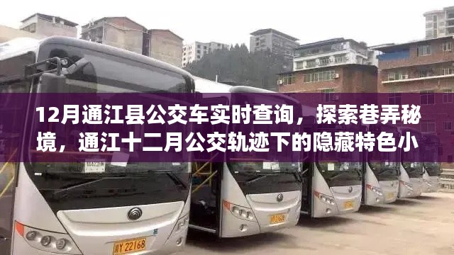 通江十二月公交轨迹探秘,实时查询公交,发现隐藏巷弄中的特色小店