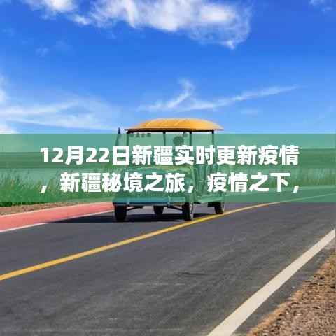 新疆疫情实时更新,疫情之下的秘境之旅与心灵绿洲探寻