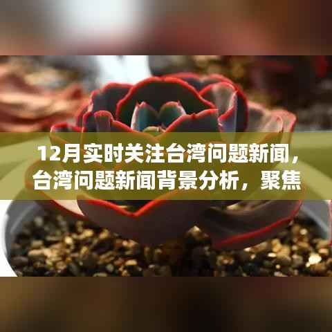 聚焦台湾问题新闻,十二月实时动态与深层影响分析