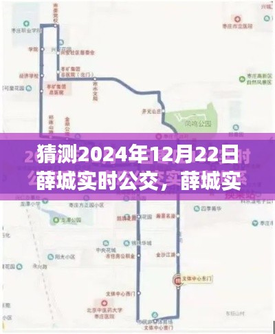 薛城实时公交应用预测与评测,智能出行新篇章展望至未来2024年体验报告