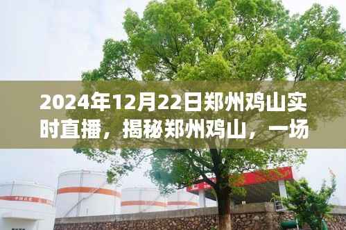 揭秘郑州鸡山,一场实时直播探寻之旅(时间,2024年12月22日)