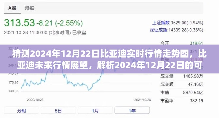 独家解析,比亚迪未来行情展望,预测2024年12月22日走势图及市场趋势分析