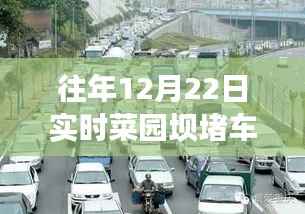 往年12月22日菜园坝实时堵车播放及观看指南
