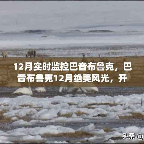 巴音布鲁克12月实时监控,绝美风光之旅启动