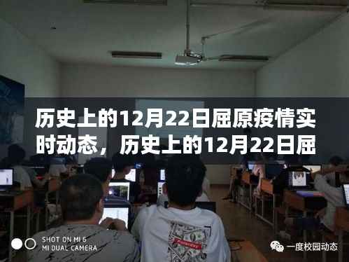 历史上的12月22日屈原疫情实时动态,全面解析与行动指南