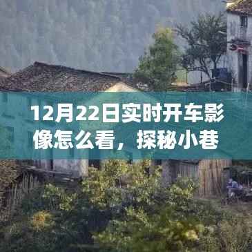 探秘实时开车影像,揭秘12月22日小巷深处的驾驶秘境之旅