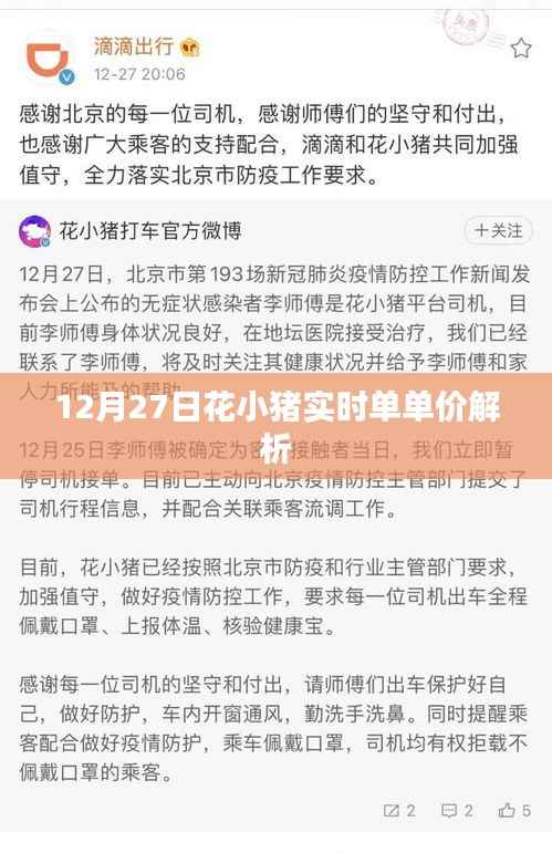 花小猪实时单单价解析,12月27日数据揭秘