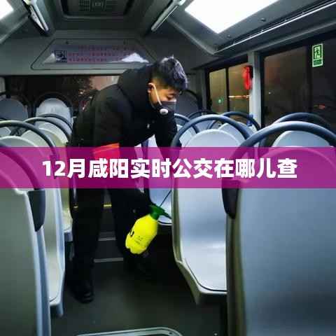 咸阳实时公交查询指南