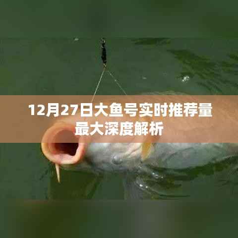 大鱼号实时推荐量深度解析,12月27日数据揭秘