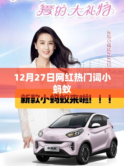 网红小蚂蚁,热门词汇背后的故事