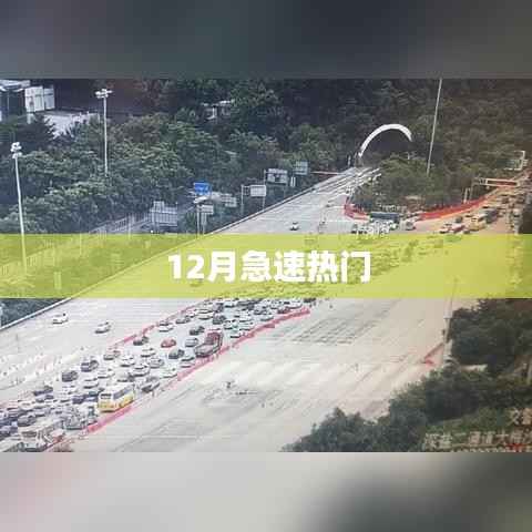 12月热点速递,最新热门事件回顾