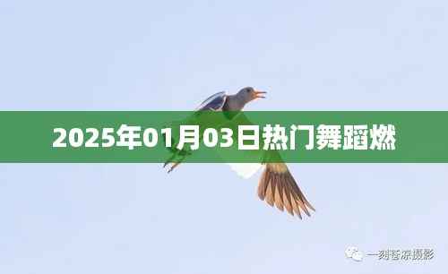 『2025年元旦热门舞蹈燃爆全场』