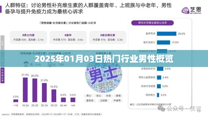 热门行业男性概览（2025年1月3日）