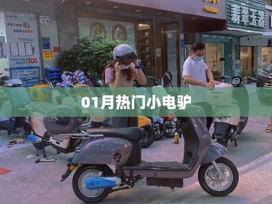 热门小电驴,一月新宠上榜
