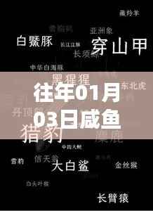 闲鱼热门榜揭秘，潮流风向标在行动