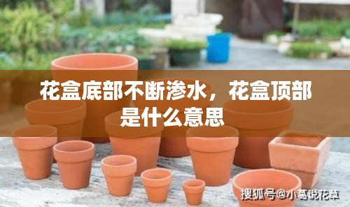 花盒底部不断渗水,花盒顶部是什么意思
