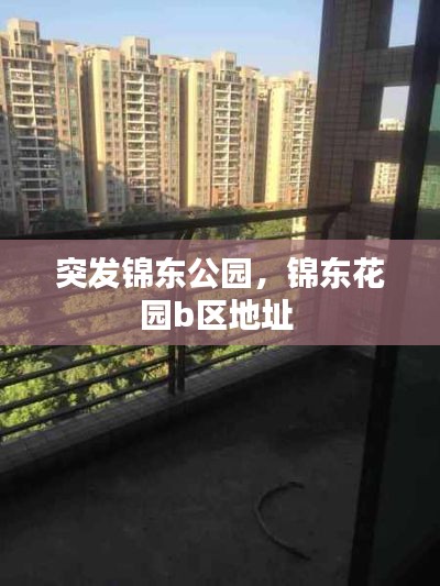 突发锦东公园,锦东花园b区地址