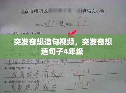突发奇想造句视频,突发奇想造句子4年级