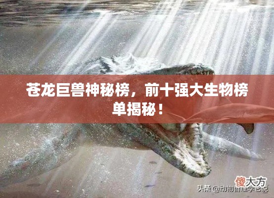 苍龙巨兽神秘榜,前十强大生物榜单揭秘!