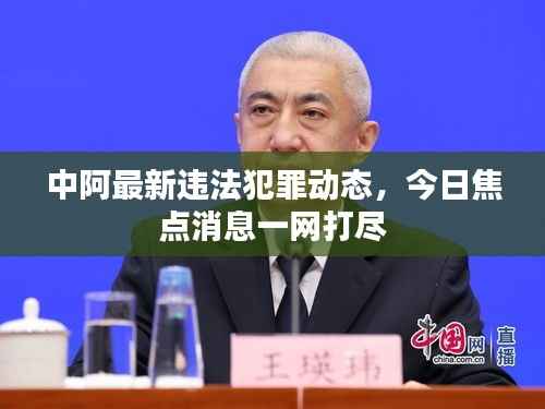 中阿最新违法犯罪动态,今日焦点消息一网打尽